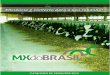 Foto de página inteira - MX do Brasilmxdobrasil.com.br/downloads/Catalogo_MX_do_Brasil.pdf · processo de galvanização a fogo feito por empresa certificada, onde todo material