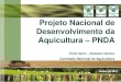 Projeto Nacional de Desenvolvimento da Aquicultura PNDAaz545403.vo.msecnd.net/uploads/2013/09/sut-apresentacao-pnda... · • Dificuldade na regularização dos empreendimentos. 