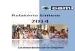 Relatório Síntese - camimigrantes.com.brcamimigrantes.com.br/site/wp-content/uploads/2014/08/RELATÓRIO-S... · imigrante nos serviços públicos municipais, estaduais e federais,