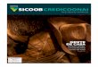 REVISTA - credicoonai.com.br · Revista Sicoob Credicoonai 3 O Brasil que eu quero ECaros(as) amigos(as), nquanto os cafeicultores finalizam uma grandiosa safra, os demais agricultores