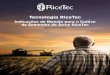 Tecnologia RiceTecricetec-sa.com/upload/handbook/4973b51cf22242ac1eccd4d71c286922.pdf · Tecnologia RiceTec Indicações de Manejo para o Cultivo de Sementes de Arroz RiceTec Safra