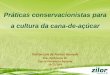 Práticas conservacionistas para a cultura da cana-de-açúcar · Práticas conservacionistas para a cultura da cana-de-açúcar Tedson Luis de Freitas Azevedo Eng. Agrônomo, Dr