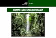 2º EM Biologia C3 | H8-12 Professor João · Biomas brasileiros •Tipo principal de ecossistema que difere dos outros na estrutura de sua vegetação predominante e nas adaptações
