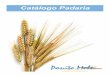 Catálogo Padaria - panito-mole.com · Pão caseiro carcaça de 400g e 800g (produto fresco) Ingredientes Farinha de trigo T65, farinha de trigo T80, água, massa mãe, sal, fermento