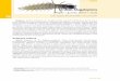 Ordem Megaloptera - bioforum.files.wordpress.com · Insetos neópteros de tamanho médio a grande (10-90 mm). Larva com o ... esclerosadas do que as da fêmea. Anatomia externa Adulto