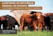 8 SINTOMAS DA DEFICIÊNCIA MINERAL EM BOVINOSiepec.com/wp-content/uploads/2015/10/ebook-sintomas-deficiencia... · O crescimento dos animais jovens é retardado, o ganho de peso é