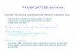 TRANSPORTE DE AUXINAS - Botânicafelix.ib.usp.br/pessoal/marcos/Forma_Funcao/PDFs/AULAS TEORICAS... · Transporte de auxina a longas distâncias no floema importante para: ... Transporte