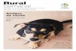 Rural Semanal - UFRRJ · Projeto da UFRRJ utiliza animais em terapia para crianças P.5 Doutorando da Rural é finalista em concurso de comunicação científica P.3 Entrevista: Max