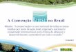 A Convenção no Brasil - ana.gov.br · Recomendação CNZU nº 2/2010: Dispõe sobre a necessidade da elaboração da “Lei do Pantanal” de forma a nortear o desenvolvimento da