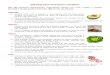 500 Segredos Culinários revelados - macua.blogs.com¡riosrevelados.pdf · O frango ficará mais macio se você colocar no tempero ou no cozimento uma pitada de ... Para o bacalhau