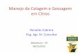 Manejo da Calagem e Gessagem em Citros - IPNI - Brasilbrasil.ipni.net/ipniweb/region/brasil.nsf... · - Ou elevado preço das Commodities - MAIOR. pressão de pragas e doenças 