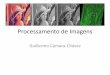 Processamento de Imagens - DECOM-UFOP de Imagens... · Projeto de Pesquisa •Estudo, Análise e Testes de uma aplicação de Processamento de Imagens: –Definir um projeto de estudo