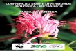 FICHA TÉCNICA - assets.wwfbr.panda.orgassets.wwfbr.panda.org/downloads/metas_mata_atlantica_cdb2010.pdf · Considerando a importância da análise do cumprimento das metas de biodiversidade