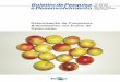 Determinação de Compostos Antioxidantes nos Frutos de Camu ...ainfo.cnptia.embrapa.br/digital/bitstream/item/75819/1/bolpd-266.pdf · compostos fenólicos, os quais são estudados