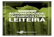 CAPRINOCULTURA LEITEIRA - sebrae.com.br Sebrae/UFs/BA/Anexos... · em 2015, ocupou a 22ª colocação no ranking mundial, segundo a FAO (2015), e sua produção vem crescendo 1% a