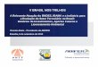 A Relevante Atuação do BNDES, IBAMA e a Indústria para a ... · A Relevante Atuação do BNDES, IBAMA e a Indústria para a Evolução do Setor Ferroviário no Brasil: Histórico