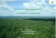 Concessões Florestais Federais Pré-editais em andamento · Indicativos da necessidade de descontos iniciais diferenciados entre as UMFs. Critérios Pontos por Critério Indicadores