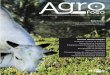 Revista de Agropecuria da Embrapa Amaz´nia Oriental - Ano ...ainfo. Revista de Agropecuria