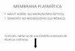 Membrana Plasmática - drleonardocrema.files.wordpress.com · Figura 5.17 Esquema da via endocítica e da reciclagem de membrana plasmática. Ligantes como hormônios, fatores de