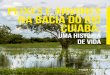 PEIXES E ÁRVORES NA BACIA DO RIO CUIABÁ · 2018-06-03 · O Centro de Pesquisa do Pantanal (CPP) ... até o Rio Paraguai, onde deságua. Todos ... a períodos de águas baixas e