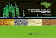 Informações e análIses da economIa mIneral BrasIleIraportaldamineracao.com.br/wp-content/uploads/2018/...mineral-2017.pdf · A Indústria Mineral Brasileira registra ao longo da
