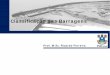 Classificação das Barragens - SOL - Professorprofessor.pucgoias.edu.br/.../puc_barragens_02_classificacao_site.pdf · Classificação das Barragens: 48/49 Materiais e processos