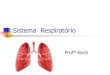 Sistema Respiratório - irp-cdn.multiscreensite.com 7... · Fossas Nasais Entrada das Vias Aéreas, septo nasal. Contato com: seios nasais (maxilar,frontal, etmoidal e esfenoidal)