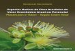 Espécies Nativas da Flora Brasileira de Valor Econômico ...ainfo.cnptia.embrapa.br/digital/bitstream/item/162358/1/Especies... · bilidade genética e adaptabilidade devido a sua