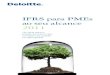 IFRS para PMEs ao seu alcance 2011 - IAS Plus · Muitos grupos globais de contabilidade receberam bem a IFRS para PMEs. Na opinião do Banco Mundial, a IFRS para PMEs é “um excelente