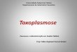 Toxoplasmose - wp.ufpel.edu.br · –Toxoplasmose cerebral (neurotoxoplasmose) foi diagnosticada em 8 –34% dos pacientes com aids no Brasil (Dubey et al., 2012) Sinais clínicos