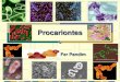 Procariontes - liceuasabin.br · BACTÉRIAS NÚMERO DE BACTÉRIAS = 10X ... bactérias halófilas (lagos salgados) bactérias termófilas e acidófilas bactérias metanogênicas 