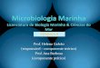 TEÓRICA 9 DOCENTES: Prof. David Montagnes University of ...w3.ualg.pt/~hgalvao/micromarinha/mmteor9.pdf · Bactérias não-halófilas, halófilas moderadas e extremas. N.B. Bactérias