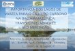 Ciclo do Carbono - ore-hybam.org · importancia dos lagos de varzea para o ciclo do carbono na bacia amazÔnica: transporte, trocas e sedimentaÇÃo moreira‐turcq,p., amorim, m