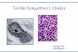Tecido Conjun,vo I: células - coltri.bio.br · • parte do sistema fagocitário mononuclear, derivados de monócitos (medula ... (imunológica) receptores para IgG e IgM ; células