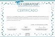 Certificamos que Joel Batista Soares participou do XX ... · Certificamos que Cleon Vale participou do XX ENCONTRO BRASILEIRO DE ESTUDANTES DE PÓS-GRADUAÇÃO EM EDUCAÇÃO MATEMÁTICA