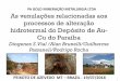 PA GOLD MINERAÇÃO METALURGIA LTDA As venulações ... · O projeto Paraíba está localizado na região ... para W predominam biotita gnaisses e para E rochas granodioríticas,