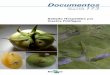 Seleção Hospedeira por Insetos Fitófagosainfo.cnptia.embrapa.br/digital/bitstream/item/147997/1/...A preferência de insetos fitófagos por espécies de plantas hospedeiras ou por