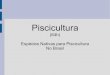 Piscicultura - araguaia2.ufmt.braraguaia2.ufmt.br/professor/disciplina_arquivo/29/201106171035.pdf · Características para escolha de uma espécie para piscicultura – Domesticação