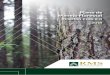 Plano de Manejo Florestal - resourcemgt.com · forme o Código Florestal –Lei nº 12.651, de 25 de maio de 2012 para áreas consolidadas e não consolidadas, com os limites em função