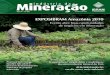 Mineração indústria da - Instituto Brasileiro de Mineração · de ferro e o processamento da produção de ferro-gusa, a partir dos sistemas convencio-nais e de novas tecnologias