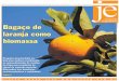 Bagaço de Rubens Chaves/Folhapress laranja como biomassa · grande, “em especial na indústria de suco de laranja, que poderia aproveitar seus resí-duos de frutas e, com relativo