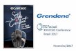 XVIII CEO Conference Brasil 2017 Fevereiro/2017static.grendene.aatb.com.br/apresentacoes/1230_2017-02-21 - BTG CEO... · Arezzo Nike Le Saunda Holdings Grendene (*) Margem Líquida