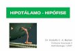 HIPOTLAMO - HIP“FISE .€s DOEN‡AS MASSA OSSEA SISTEMA CAR. DIOVASCULAR GORDURA E PESO LIOERAN‡A