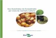Uso econômico do concentrado - Principal - Agropedia brasilisainfo.cnptia.embrapa.br/digital/bitstream/item/116739/1/... · 2017-02-03 · Uso econômico do concentrado por meio
