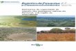 Estimativa da capacidade de suporte das pastagens nativas ... · PDF file capacidade de suporte de uma área no Pantanal, e propor um cálculo ... campo limpo, borda de baía permanente,