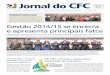 Jornal do CFC - Conselho Federal de Contabilidadeportalcfc.org.br/wordpress/wp-content/uploads/2013/01/jornal130... · No mês de novembro, realizamos a eleição para renovação