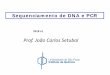 Prof. João Carlos Setubal - iq.usp.br · pela adição de nucleotídeos ... a quantidade de uma certa sequência de DNA de interesse ... (dNTPs) ou seja, nucleotideos contendo grupos