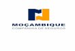 Relatório e Contas - mcs.co.mz04+16.pdf · Conselho Fiscal Presidente Prof ... O mercado segurador em Moçambique ... do lado do resseguro, apenas um ressegurador de direito moçambicano,