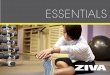 APOIO PARA FLEXÃOcatalogos.zivalife.com.br/catalogo-ziva-essentials.pdf · 2016-12-13 · • Ideal para exercícios de braço e estabilização de tronco ... • Indicada para musculação/fitness