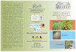 O CEFET-GO como co-executor do projeto “Onupec.quimica.ufg.br/up/46/o/Folder_dos_alunos_do_CEFET.pdf · Projeto: O ensino de ciências para a conservação dos recursos naturais